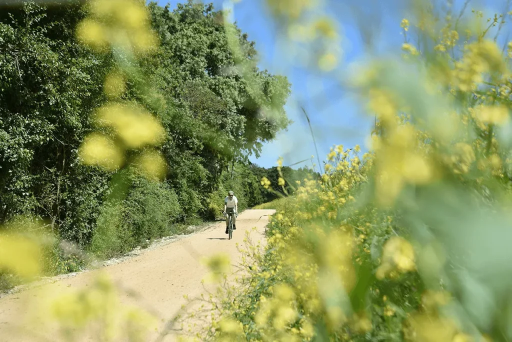 Biodiversité