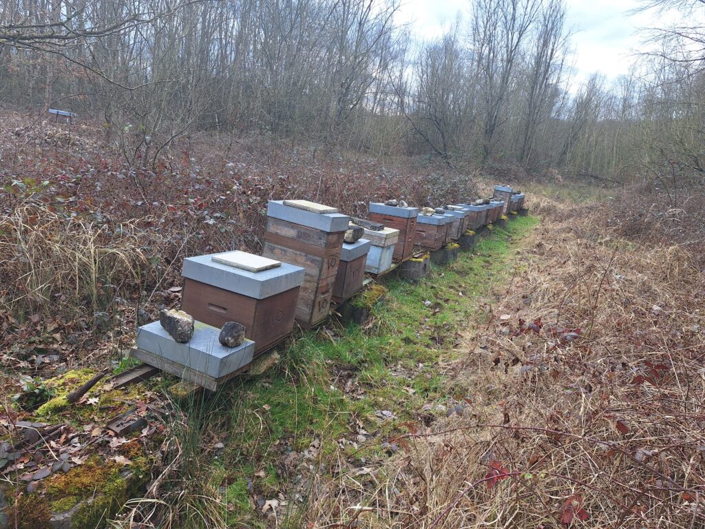 Premys réponds aux enjeux liés à l'effondrement de la biodiversité